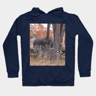 Zebras and Elephants together in Moremi Game Reserve, Botswana, Africa Hoodie